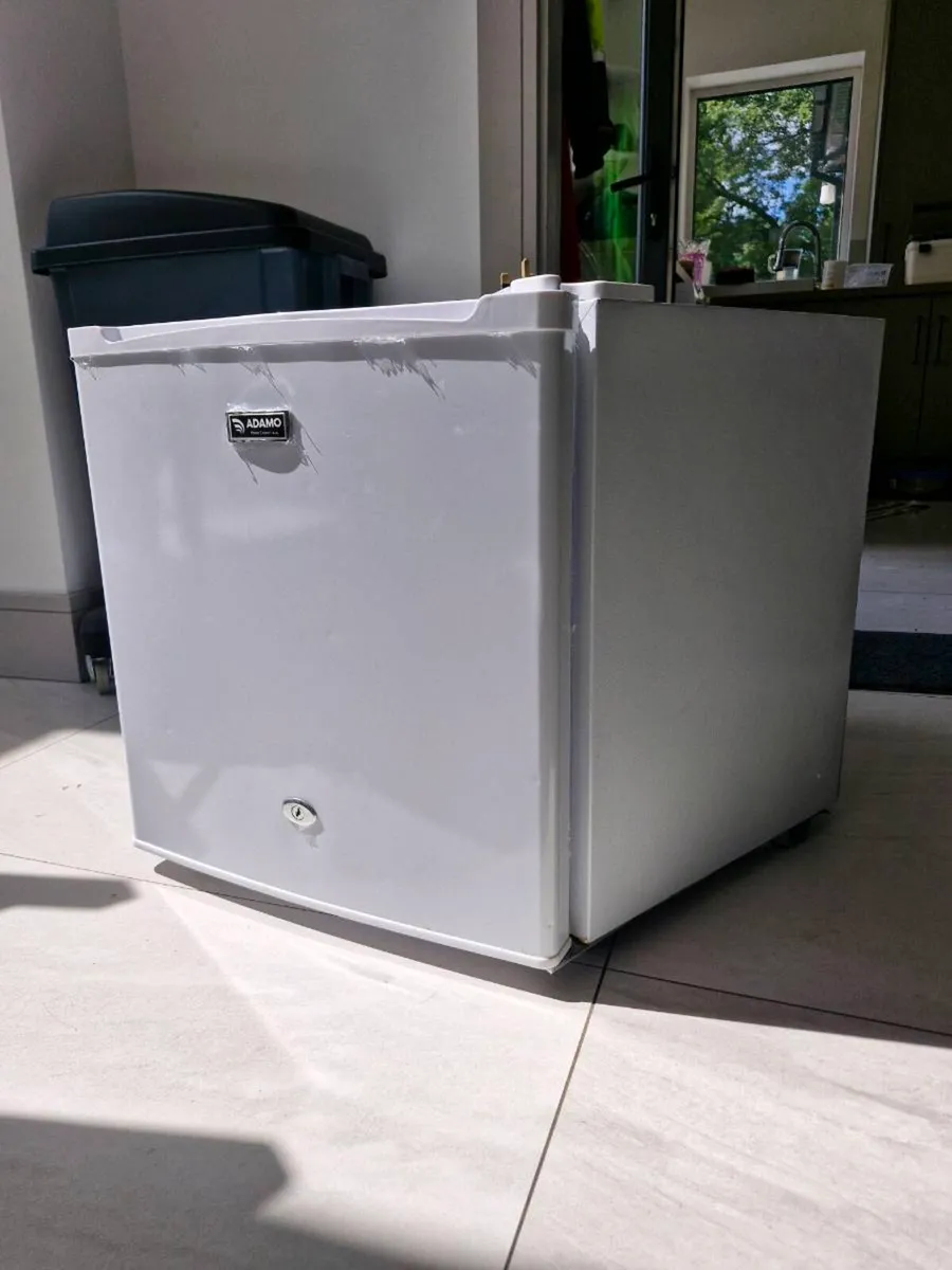 Mini Fridge - Image 4