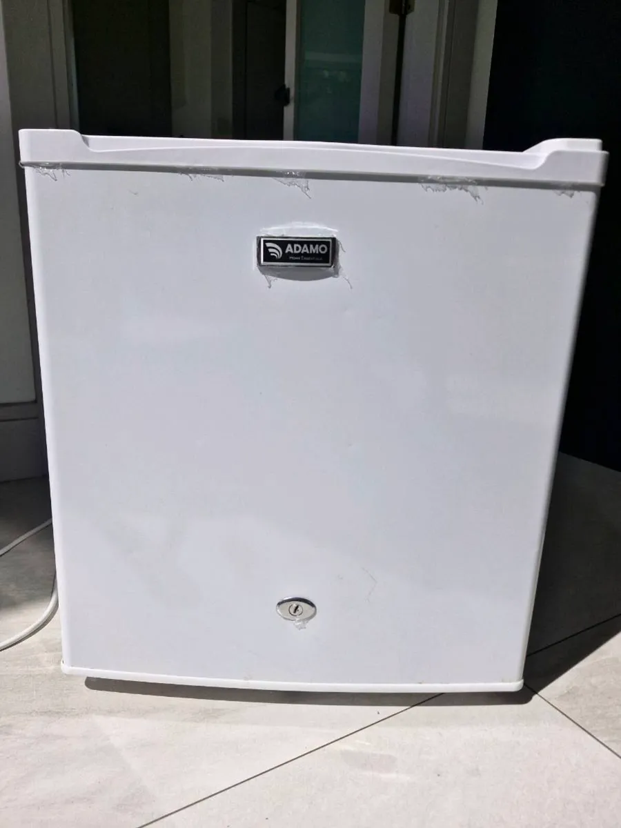 Mini Fridge - Image 1