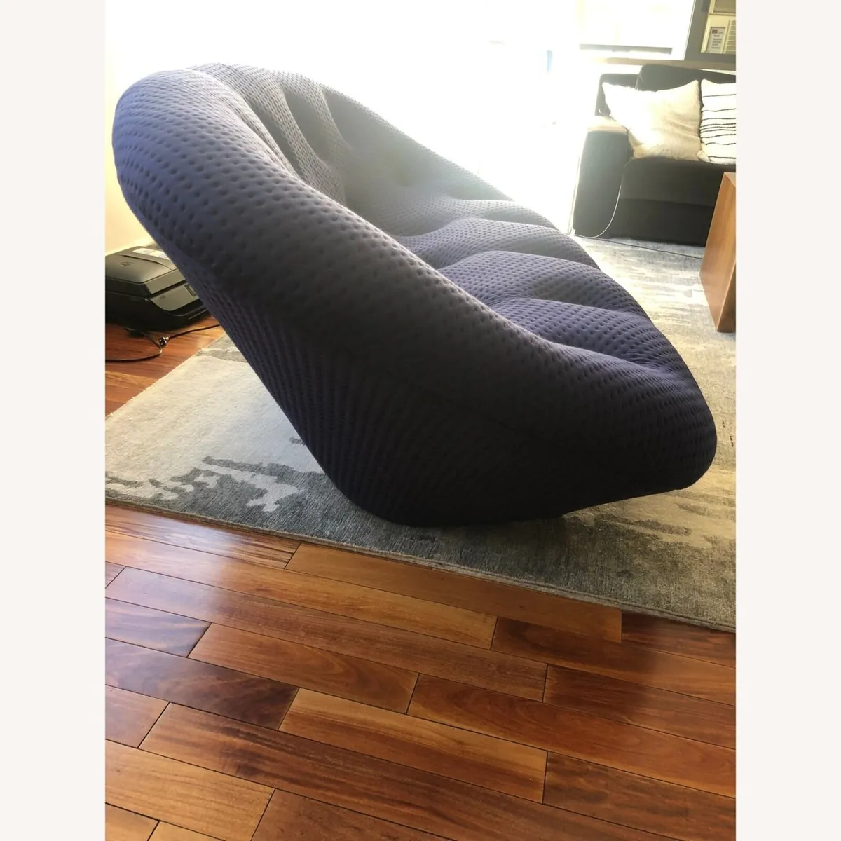 Ligne Roset Ploum Sofa x 2 - Image 4