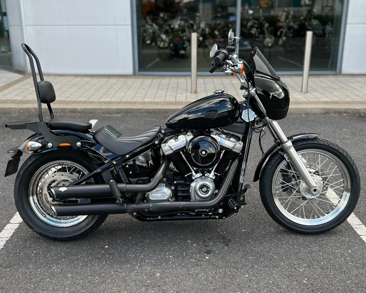 HARLEY-DAVIDSON SOFTAIL STANDARD + EXTRAS - Image 1