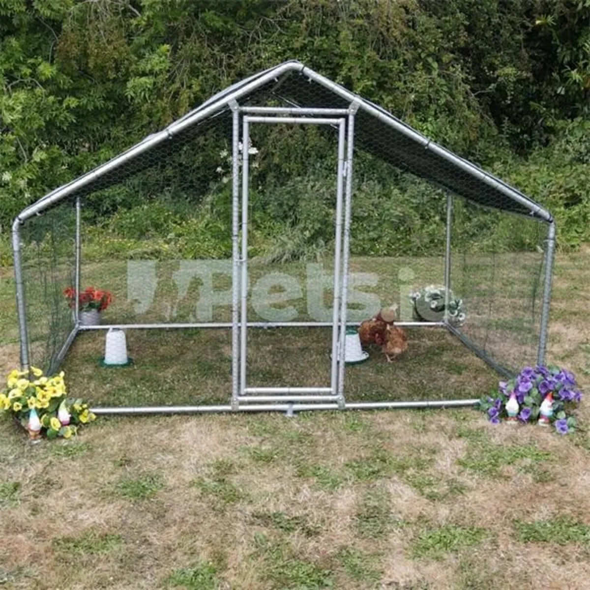 Chicken Pens Run - Image 2