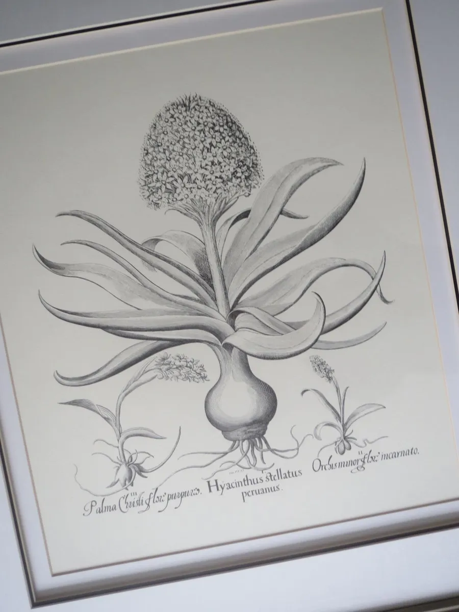 Neptune Large botanical picture - Image 1