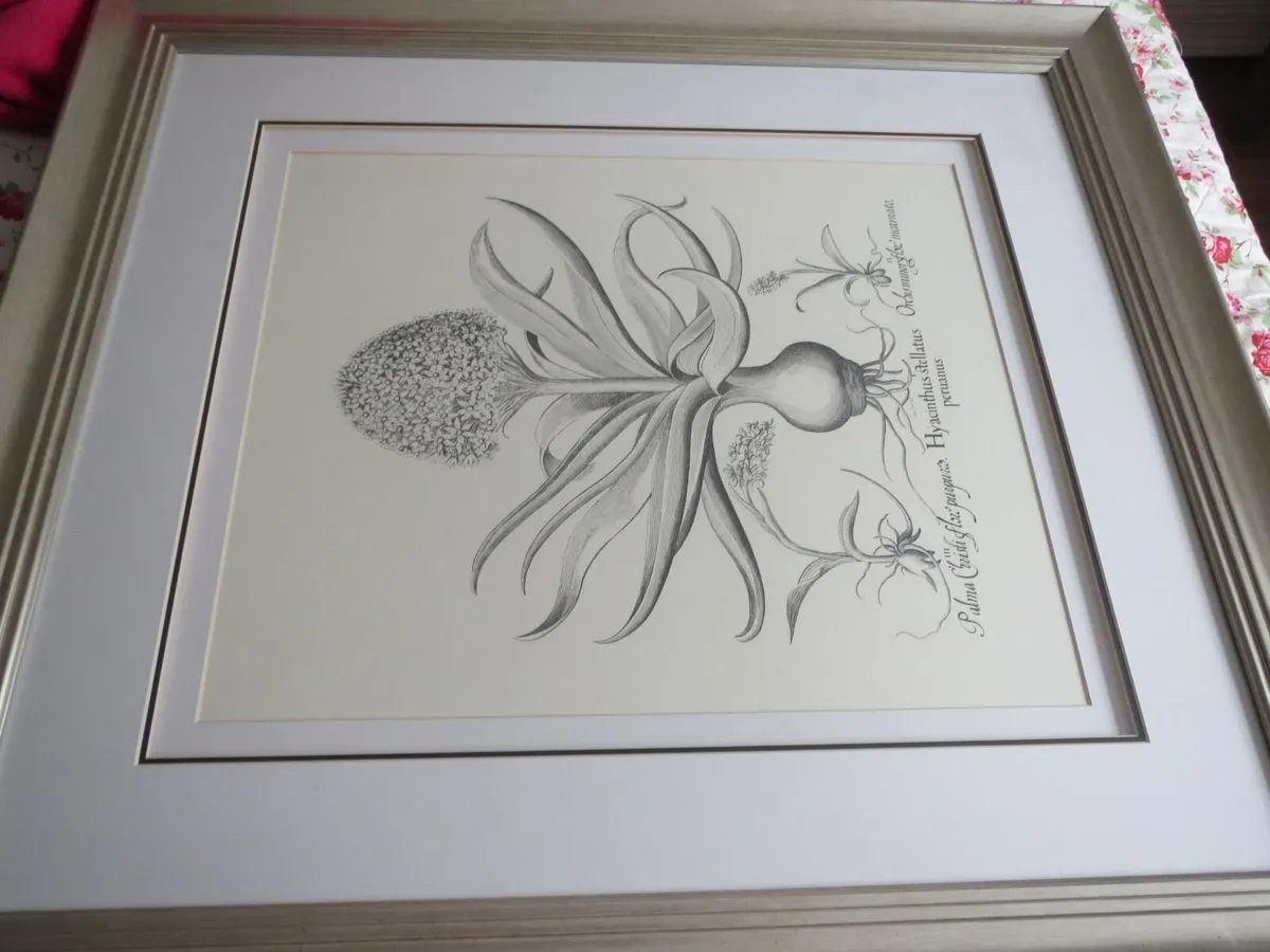 Neptune Large botanical picture - Image 3