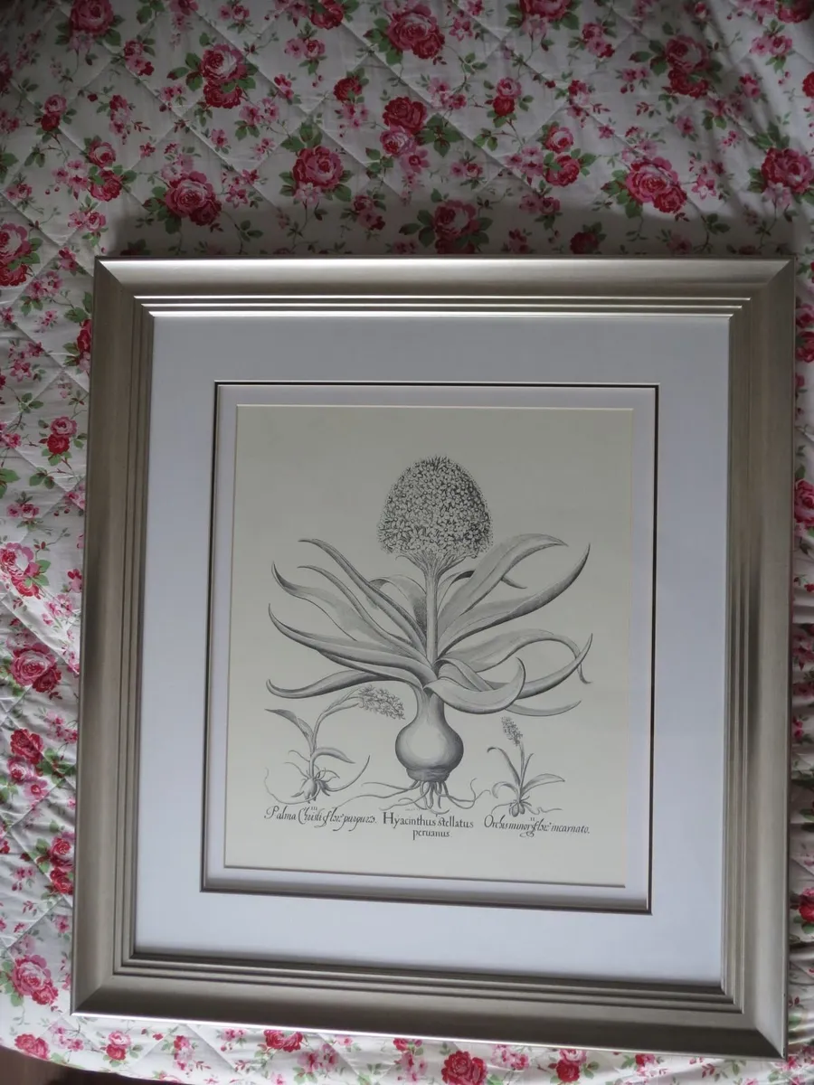 Neptune Large botanical picture - Image 4