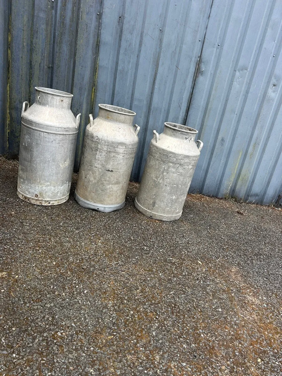 Old milk churns/creamery cans - Image 4