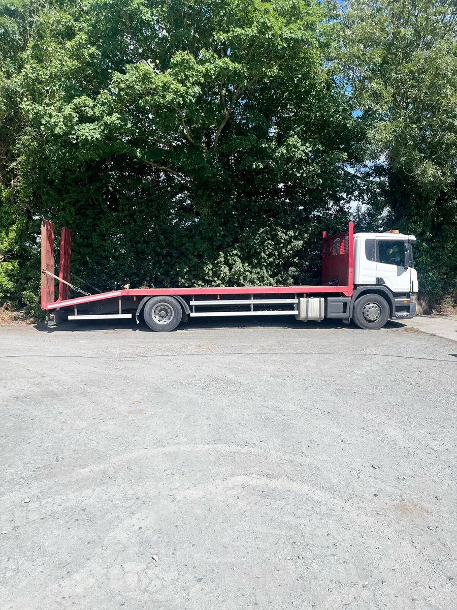 Scania beavertail - Image 3