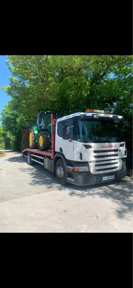 Scania beavertail - Image 1
