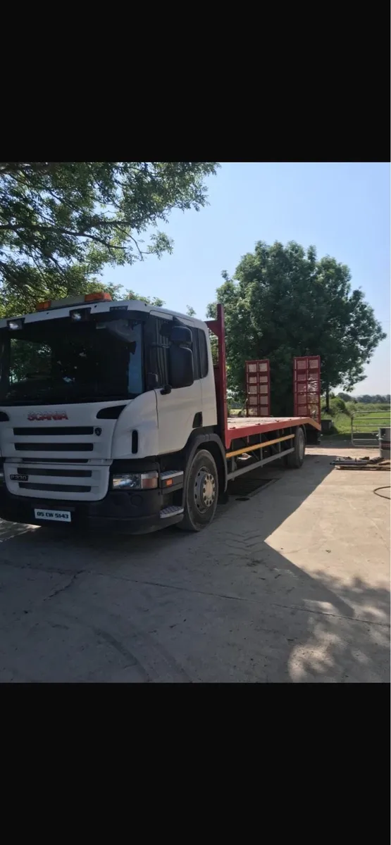 Scania beavertail - Image 2