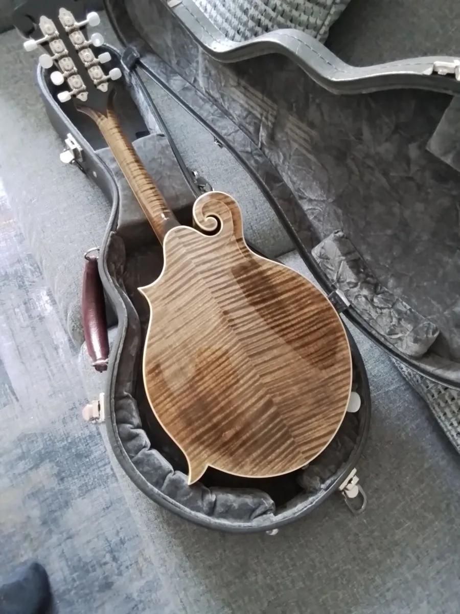Weber yellowstone f5 mandolin - Image 2