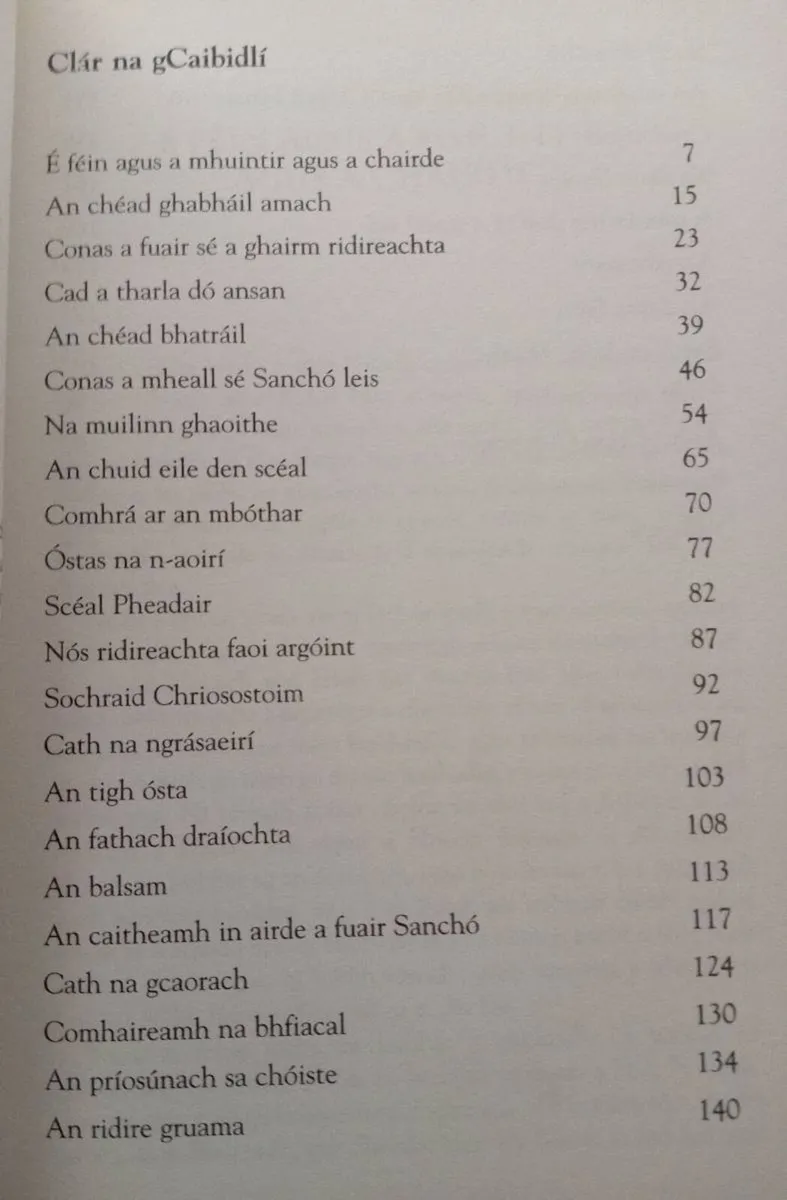 Don Quixote Irish Translation Book - Image 2