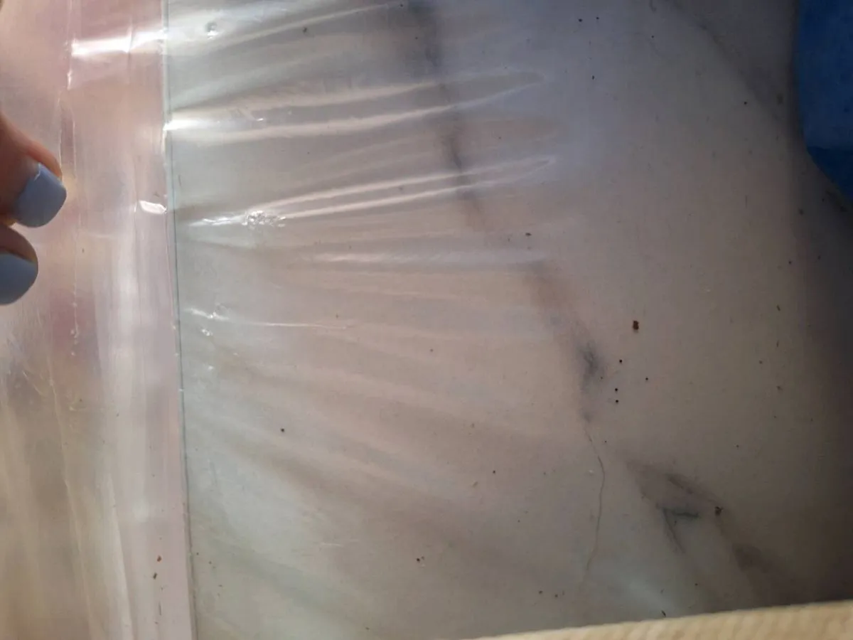 Kitchen - Image 3