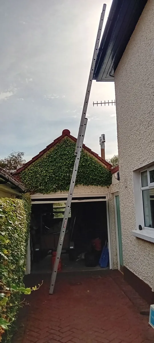 Aluminium Extension Ladder - Image 2