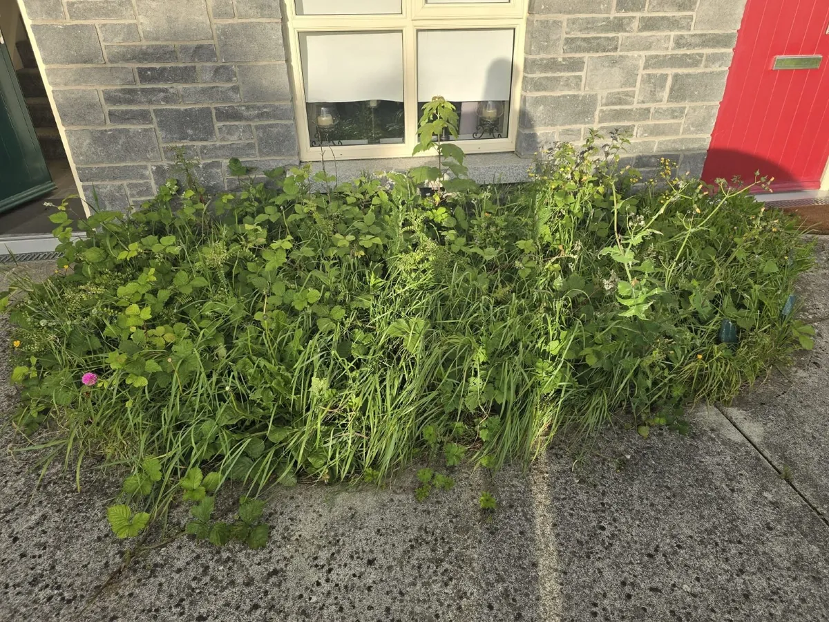Gardening and Lanscaping Services - Image 3