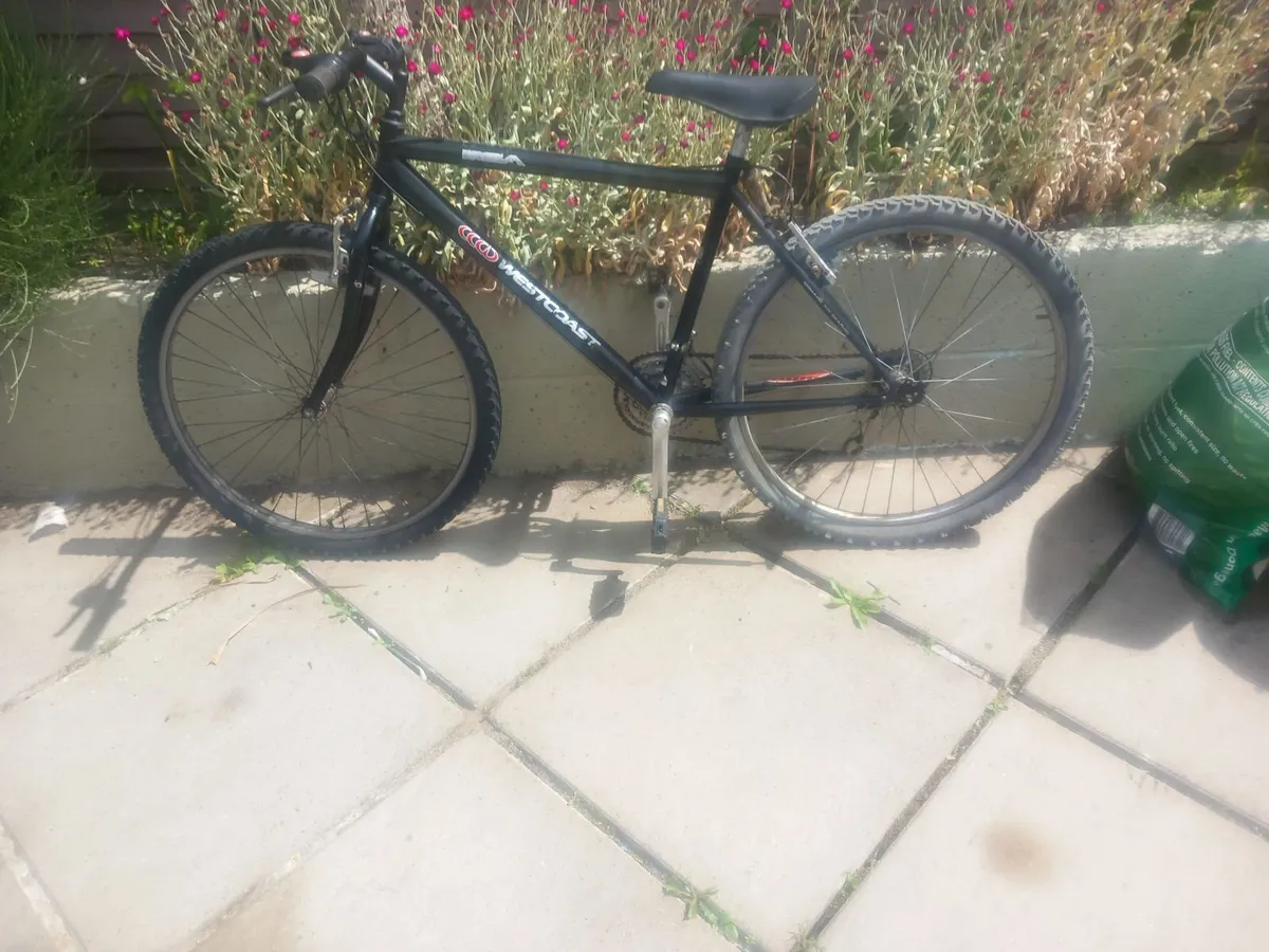 mountain bike - Image 1