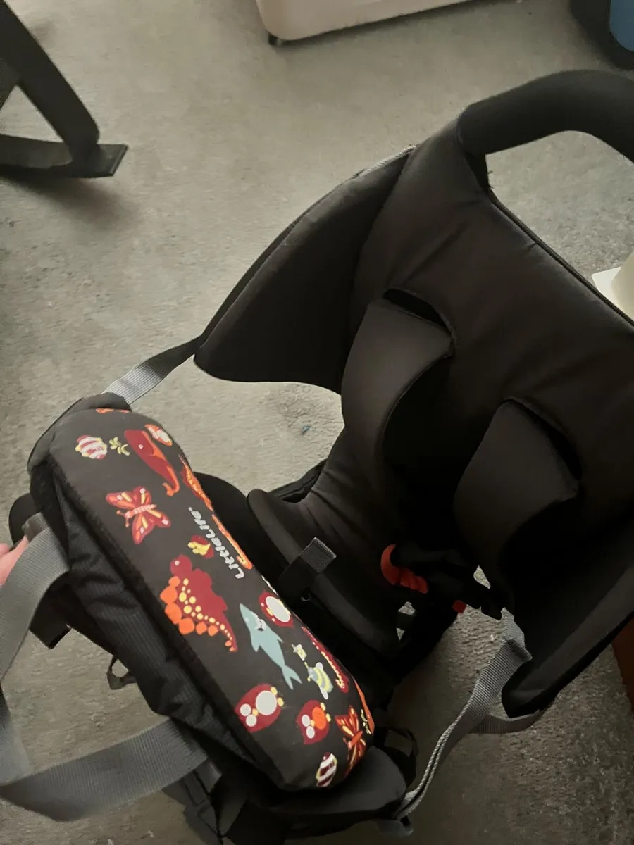 Child Carriers - Image 4