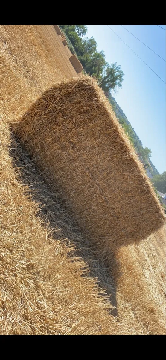 Wheat straw 8x4x4 - Image 1