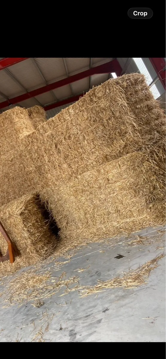 Wheat straw 8x4x4 - Image 2