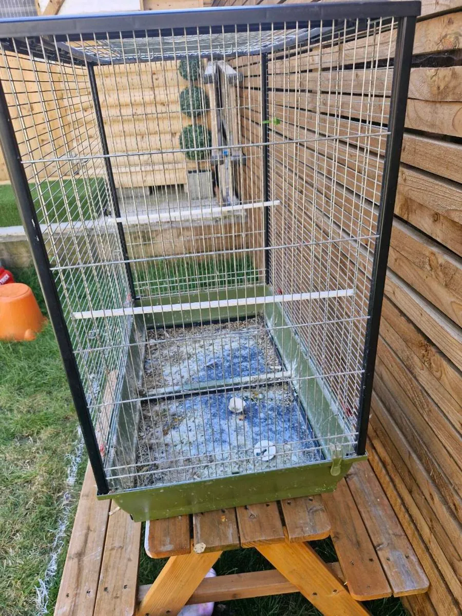 Bird cage - Image 2