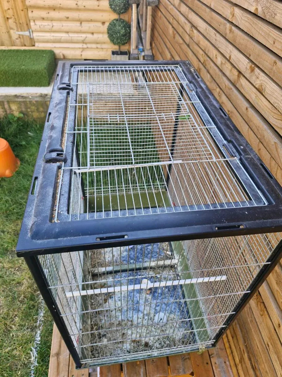 Bird cage - Image 3