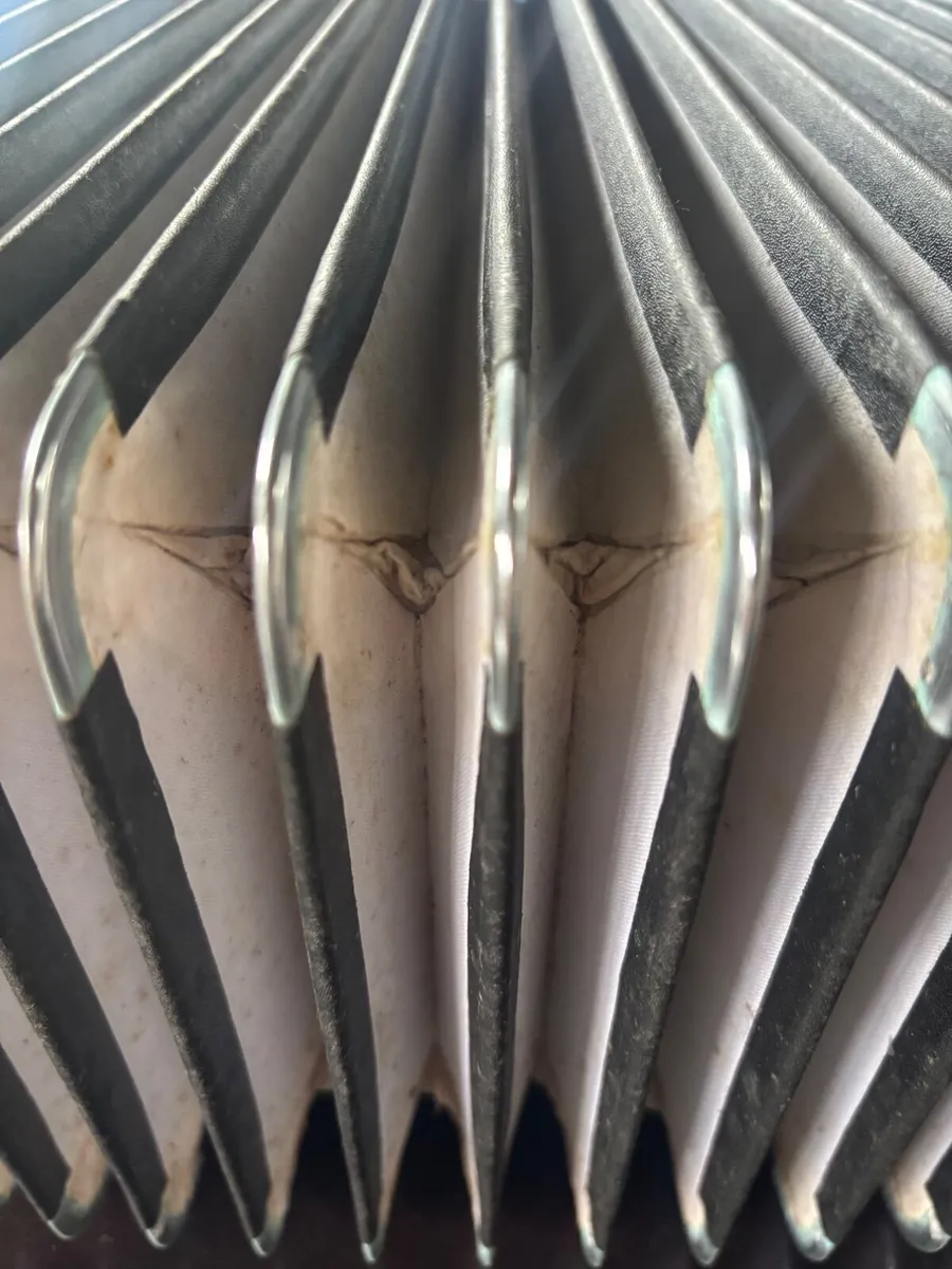 Vintage Parrot piano accordion - Image 2