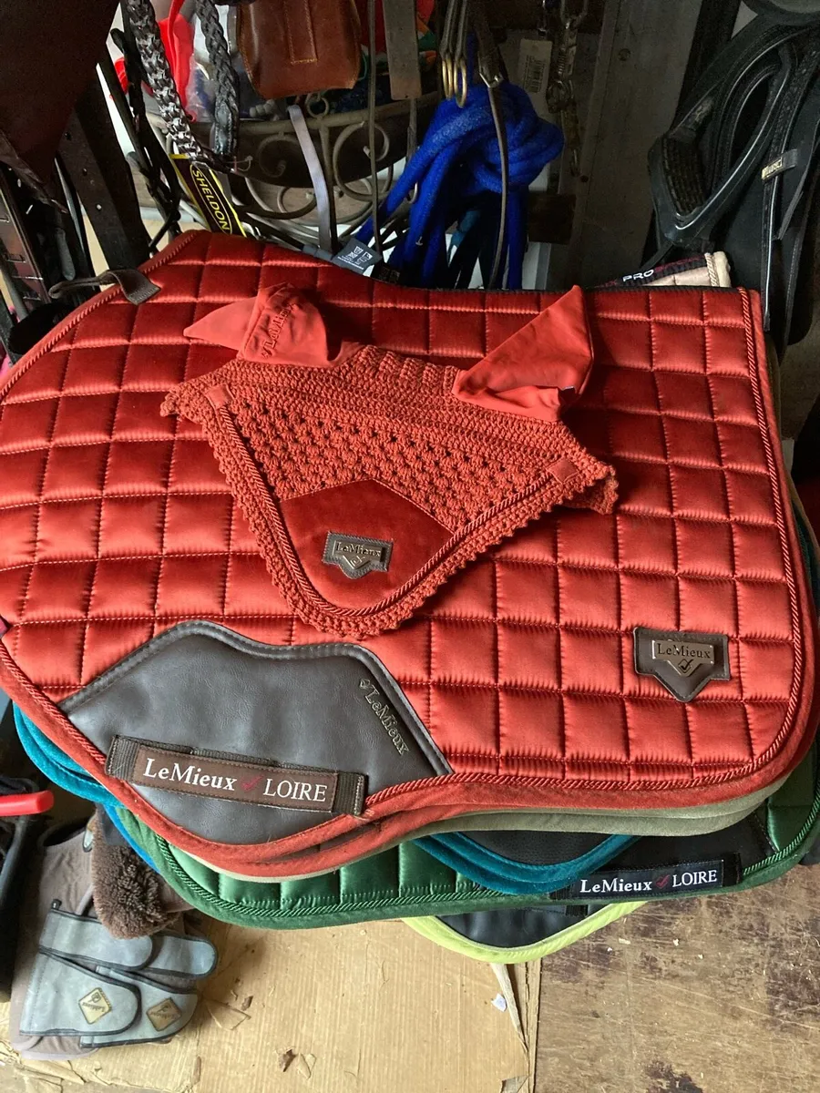 Lemieux sets - Image 1