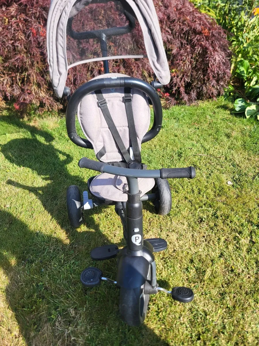 Buggy - Image 1