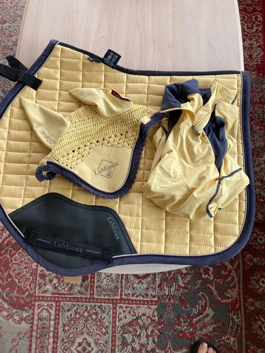 Lemieux sets - Image 1