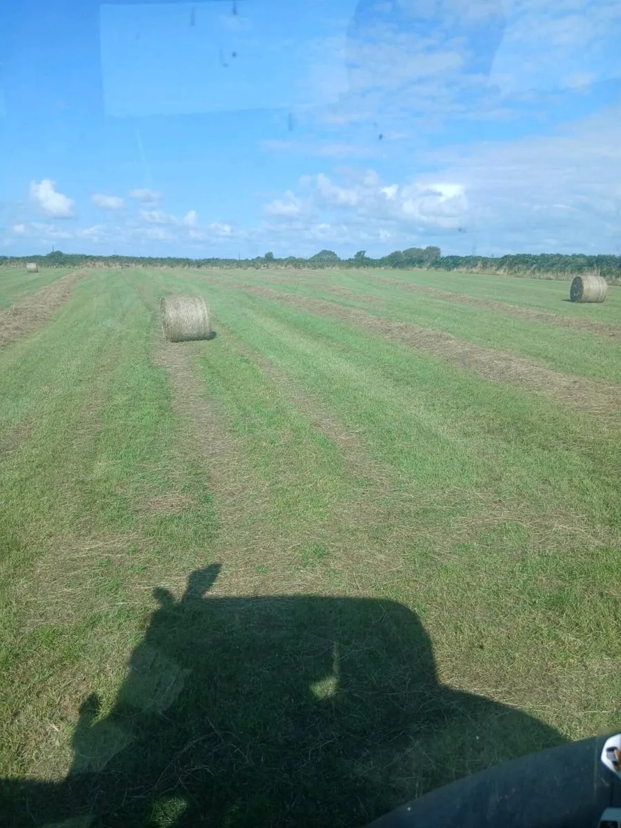 Round bales of Hay - Image 2