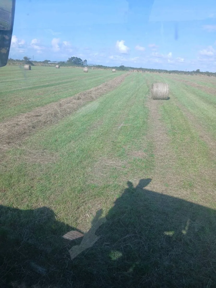 Round bales of Hay - Image 4