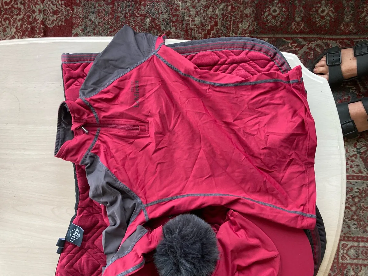 Lemieux set - Image 4