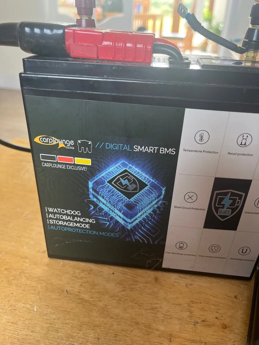 Lithium Battery - Image 4