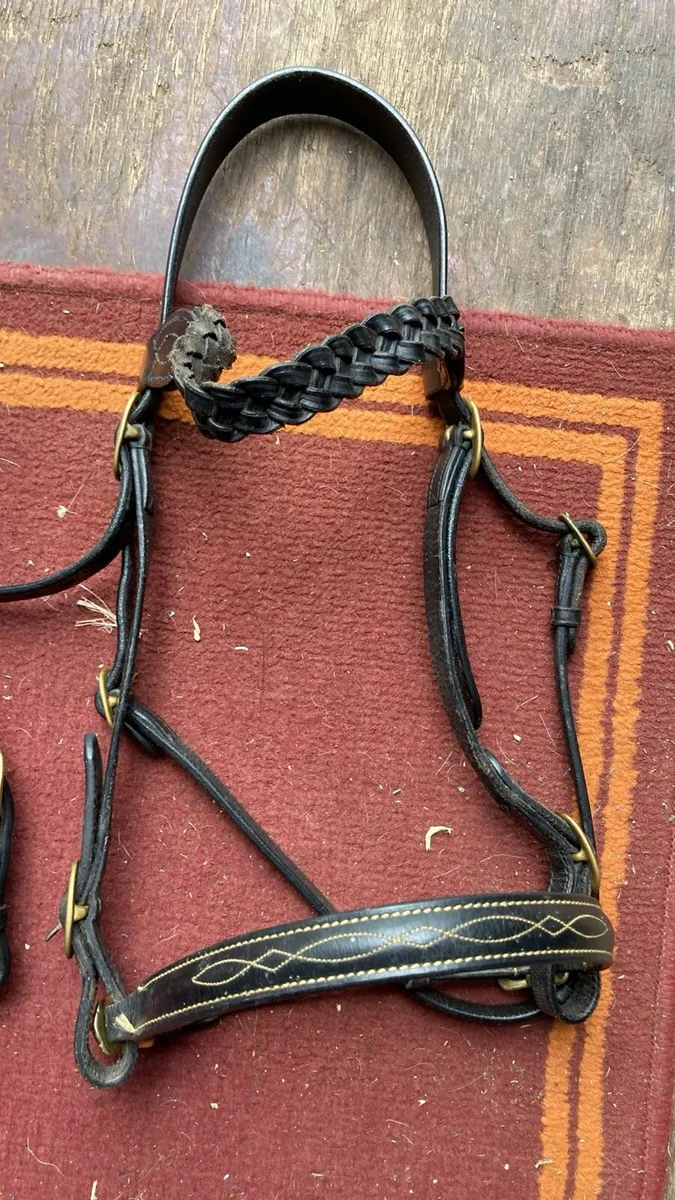 In hand bridle