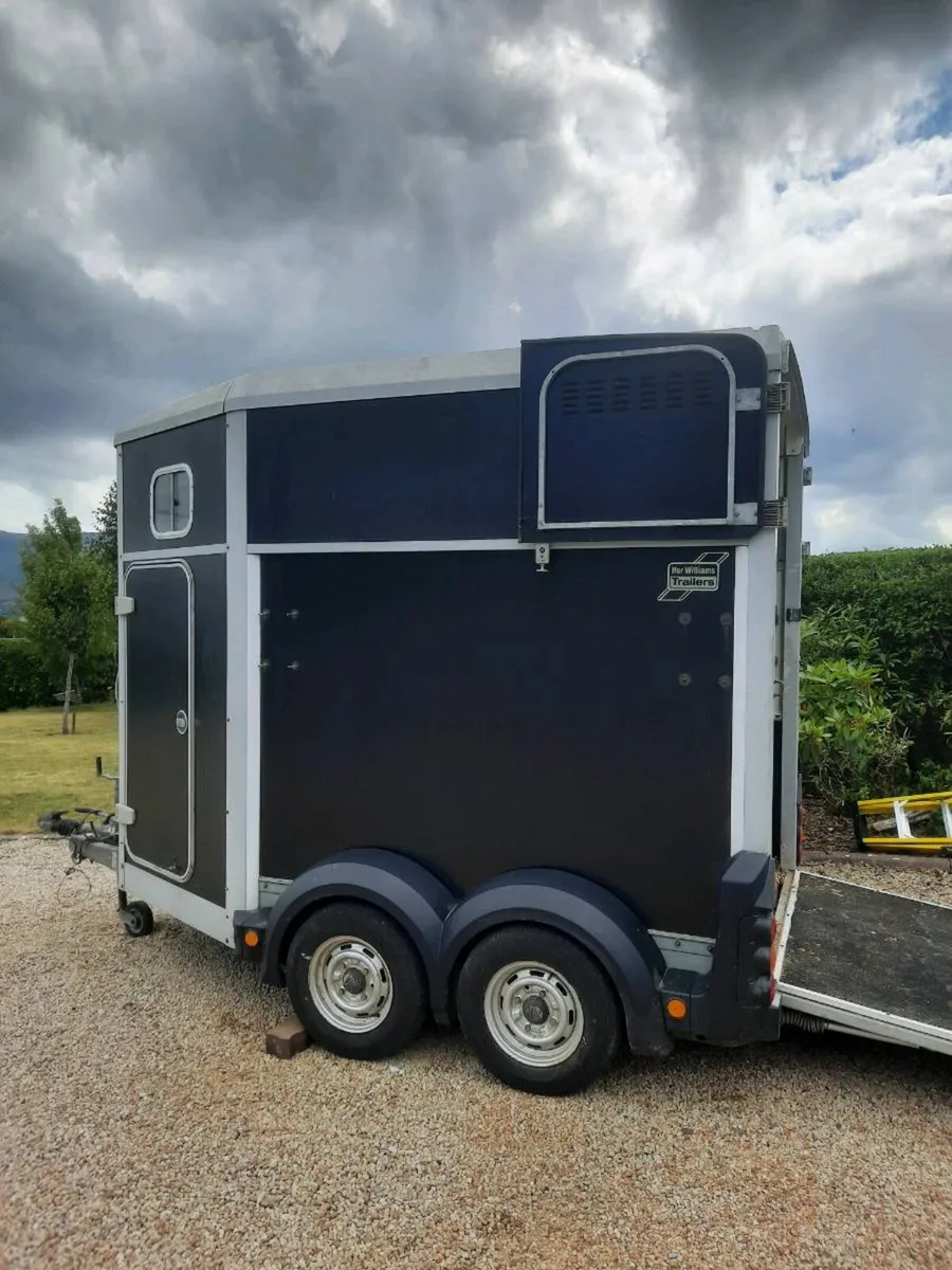 Horse Box Ifor Williams - Image 4
