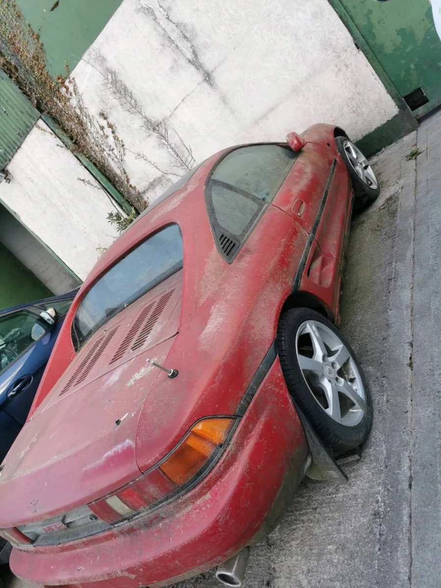 Yard clearance - Image 2