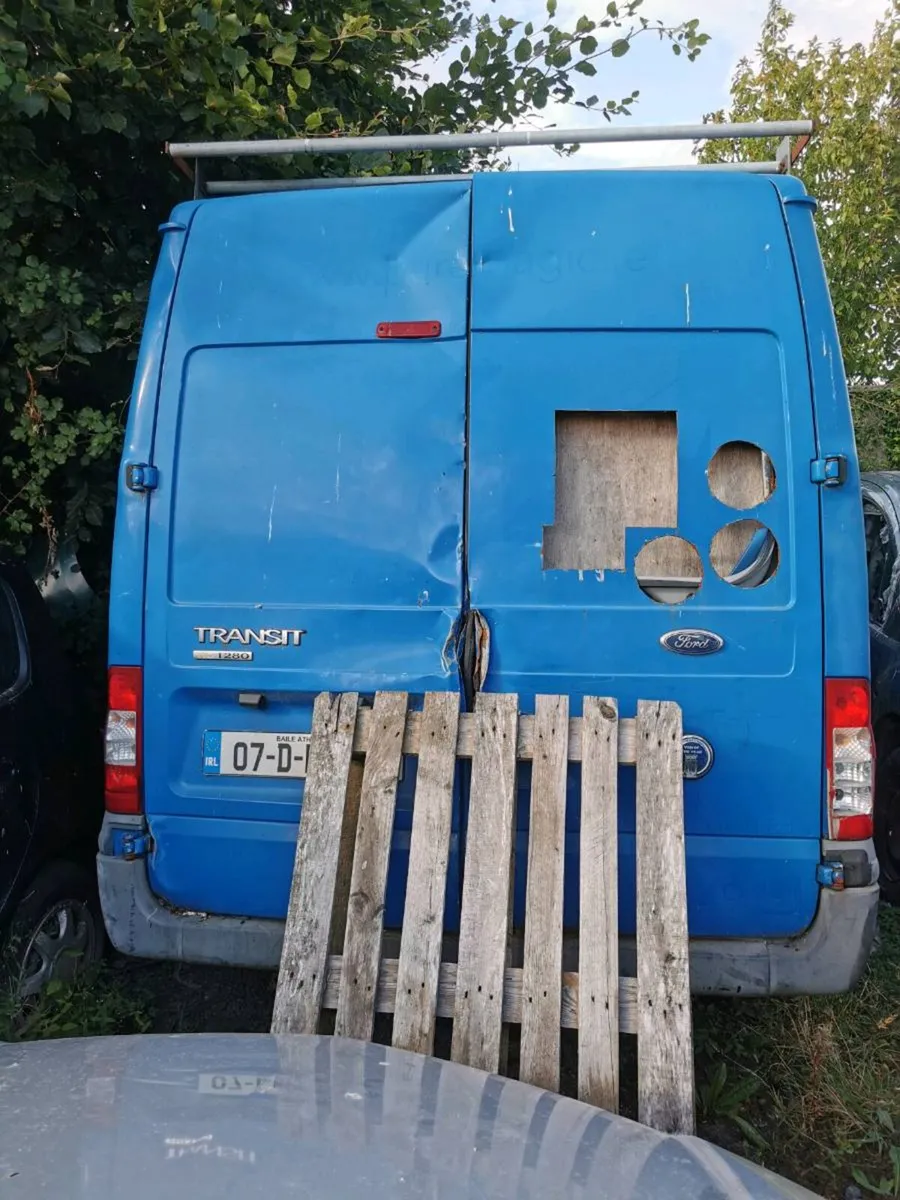 Yard clearance - Image 3