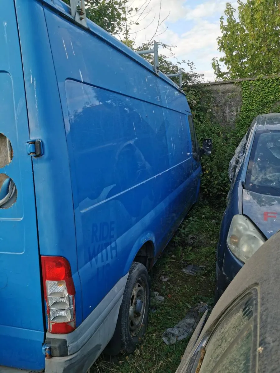 Yard clearance - Image 4
