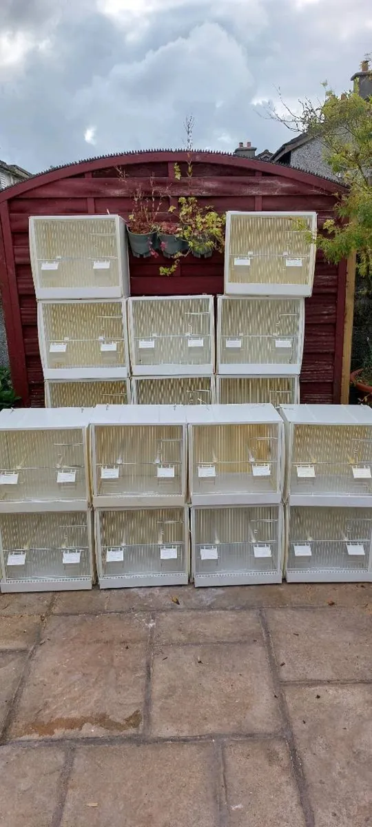 Bird cages