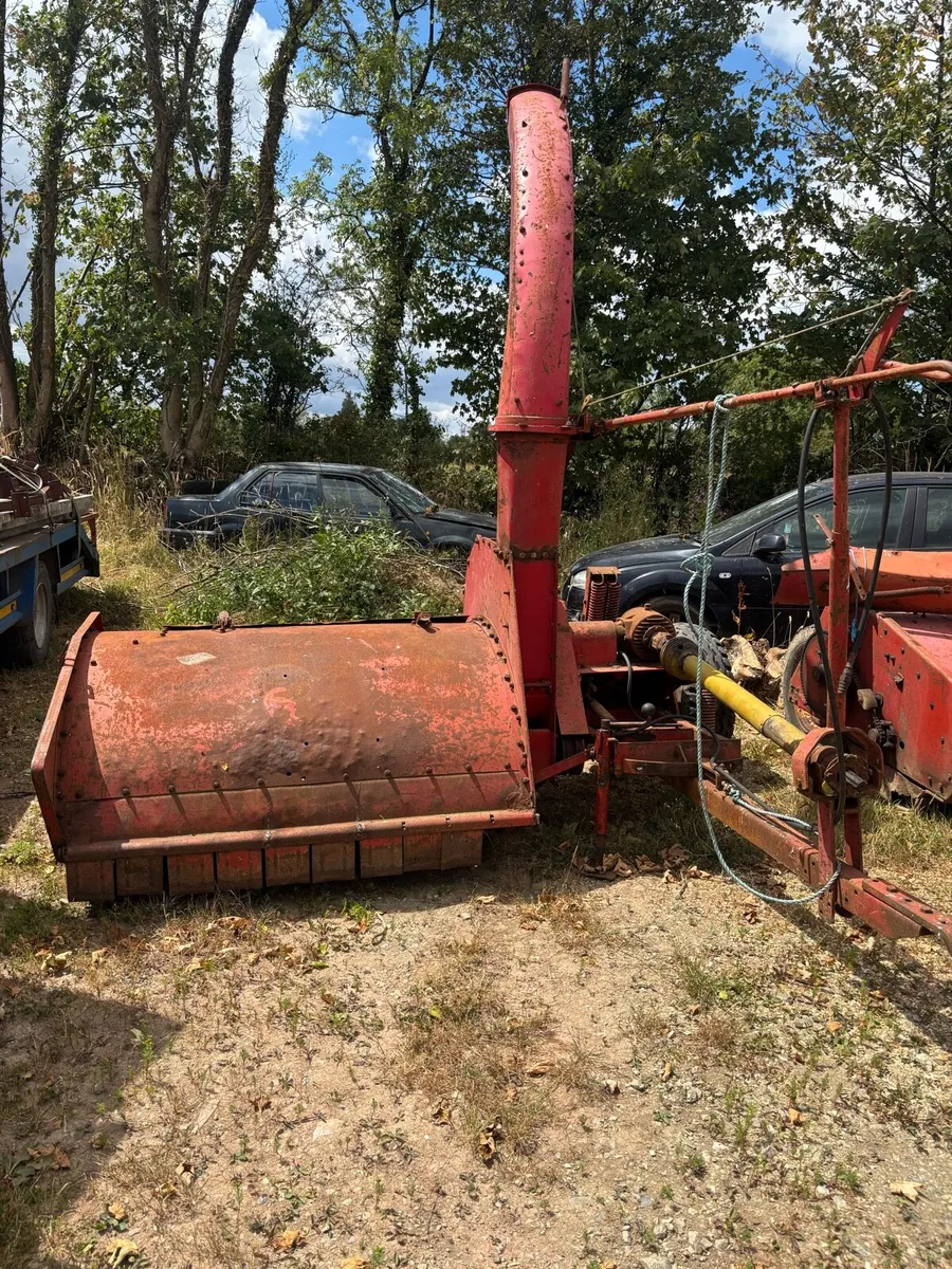Yard clear out - Image 1