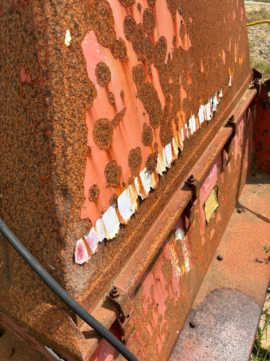 Yard clear out - Image 3