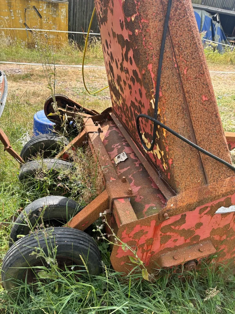 Yard clear out - Image 4