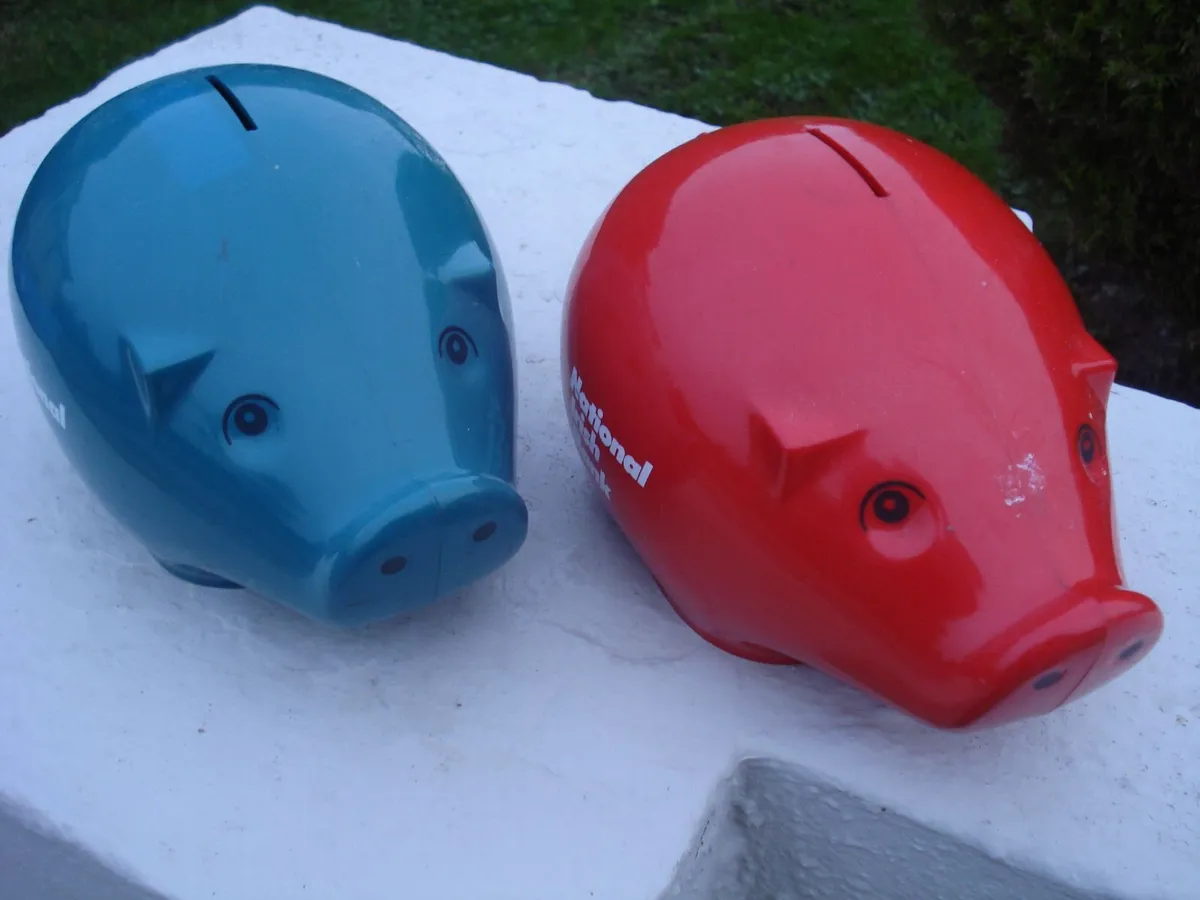 RARE NATIONAL IRISH BANKS PIGGY BANKS,2005. - Image 3