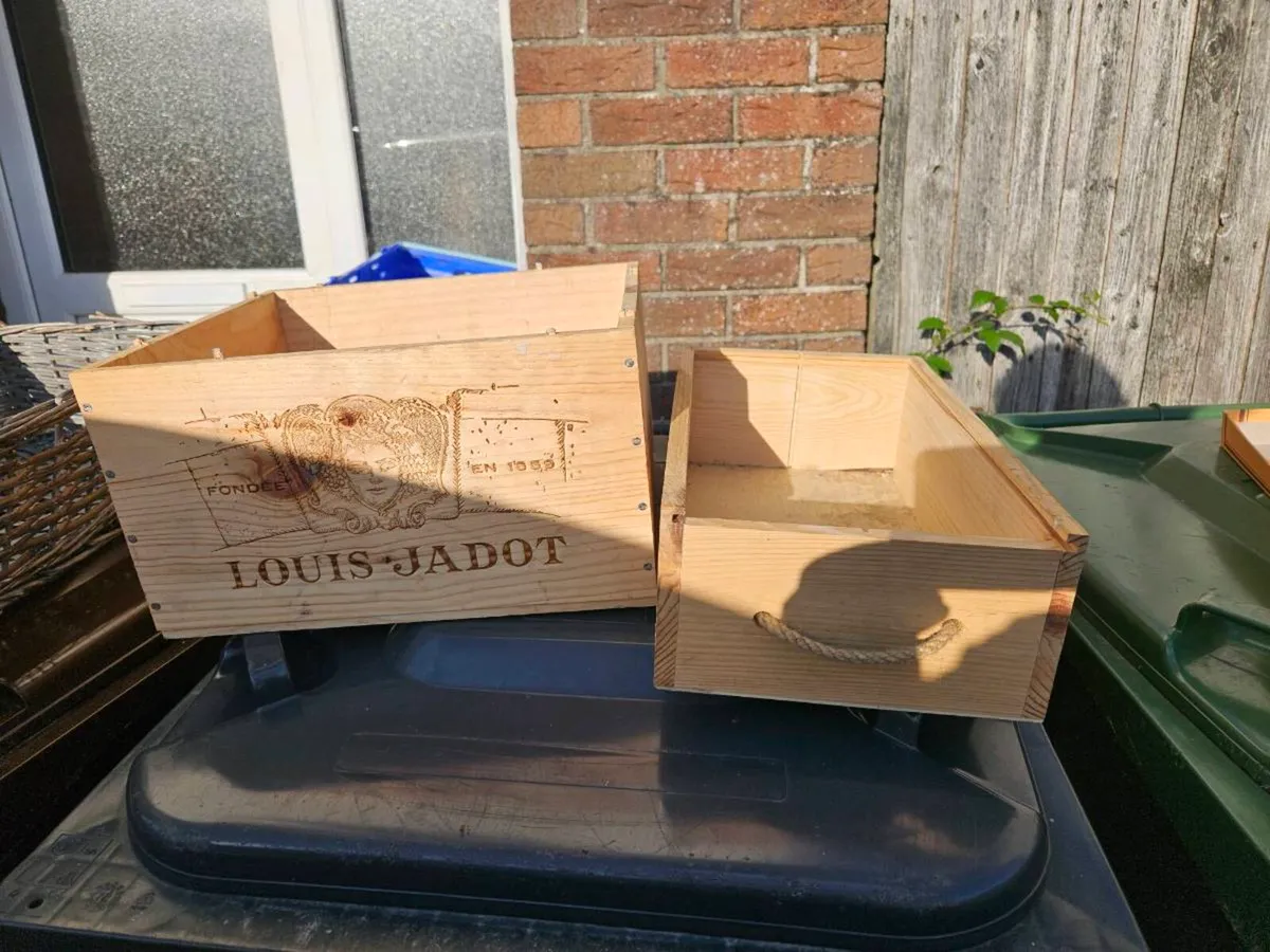 Collection of Storage Boxes and Baskets - Image 3
