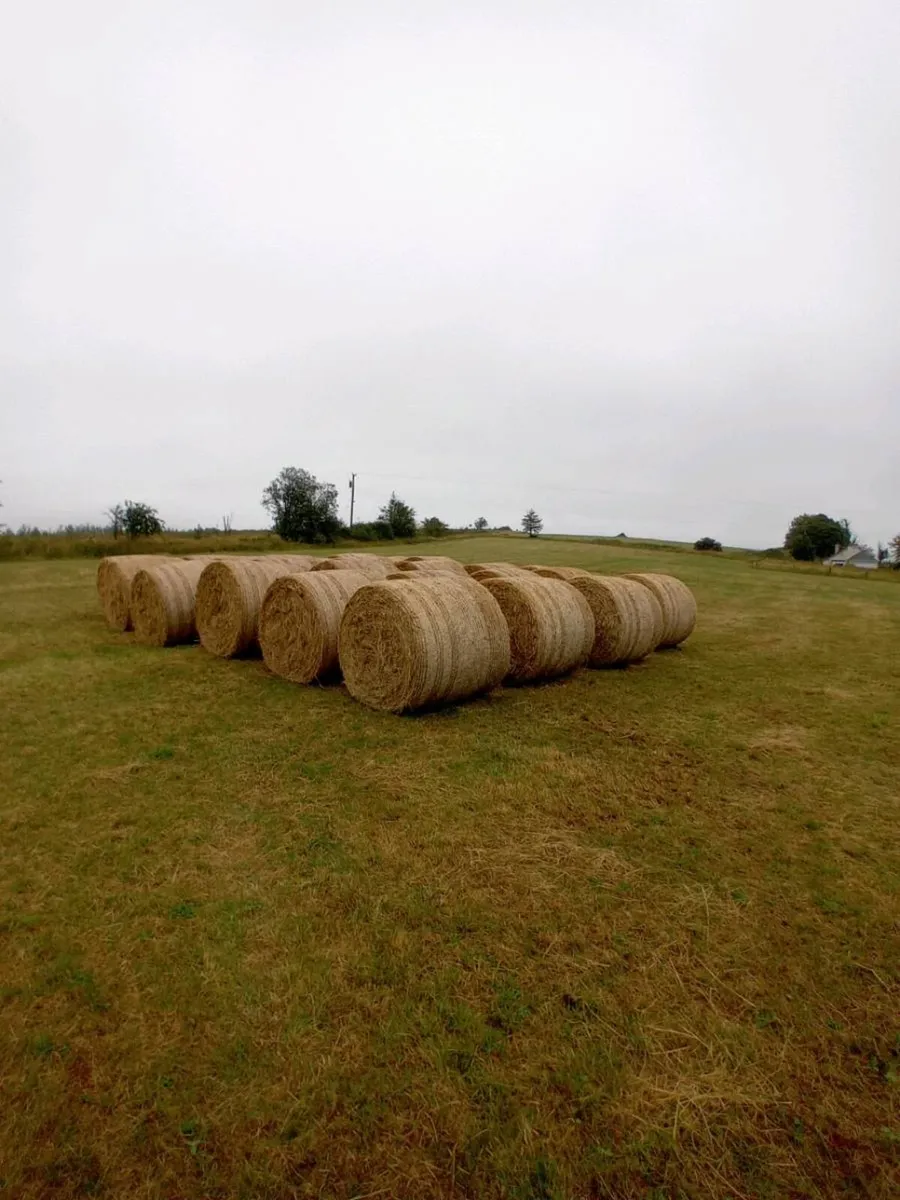 Hay, Ballymote, Sligo - Image 1