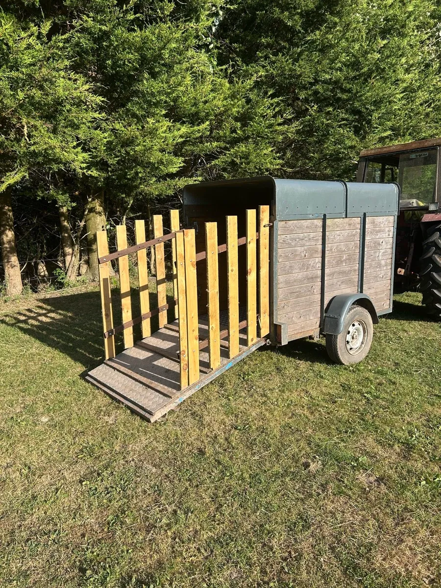 Sheep/calf trailer - Image 1