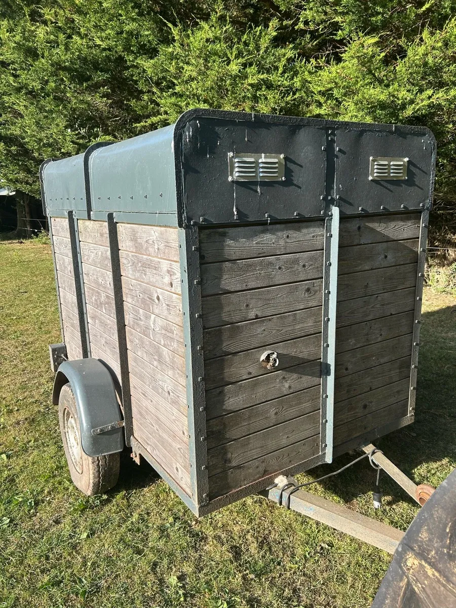 Sheep/calf trailer - Image 4