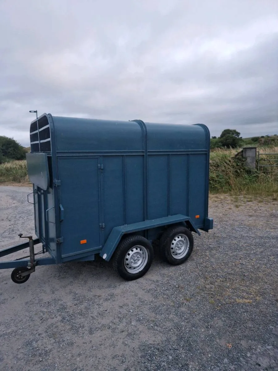 8ft by 4ft livestock trailer - Image 2