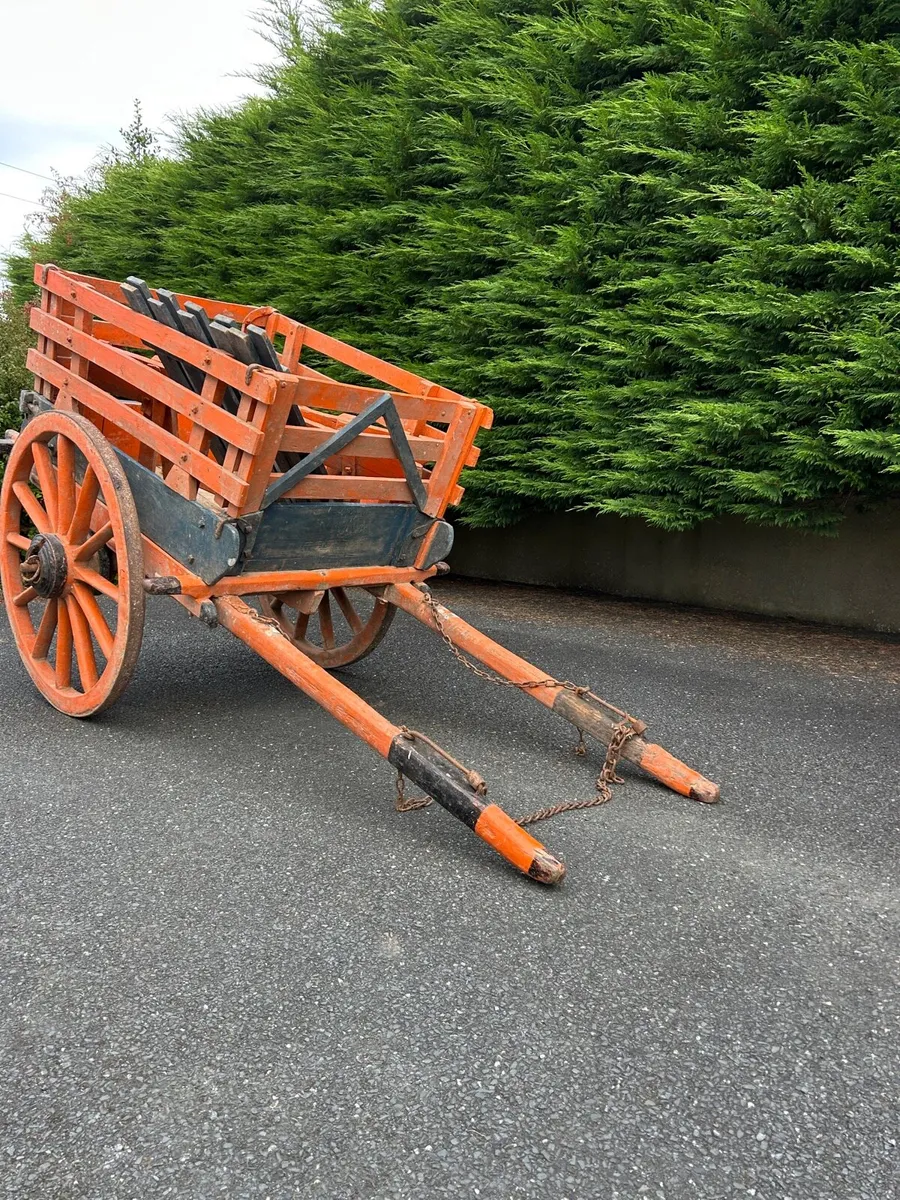 Donkey Cart And Tub Trap - Image 1