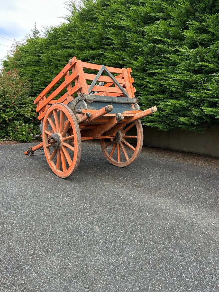 Donkey Cart And Tub Trap - Image 3