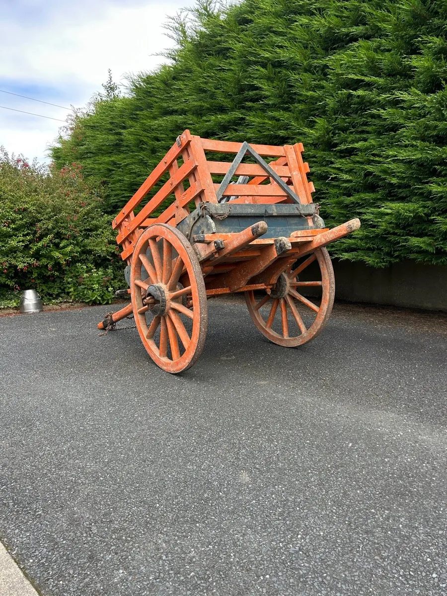 Donkey Cart And Tub Trap - Image 4