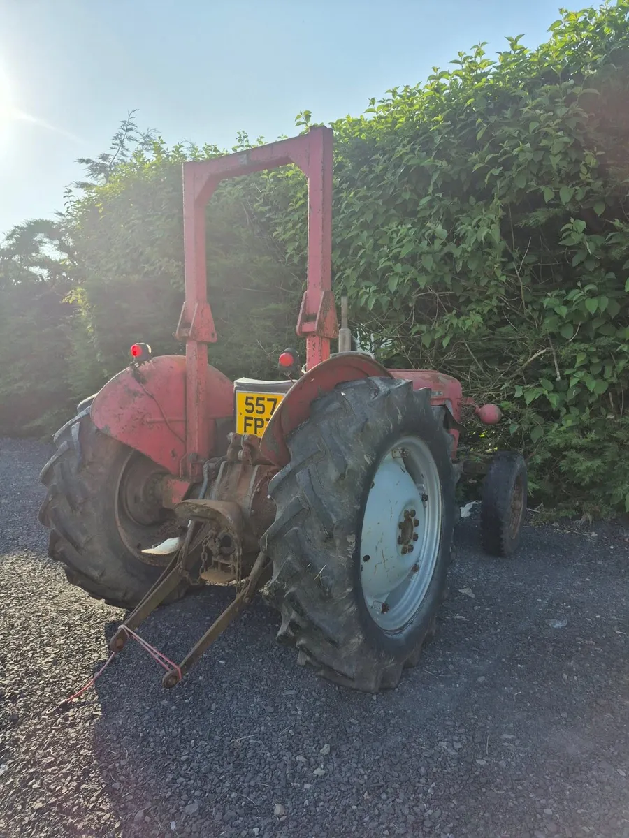 Massey Ferguson 35 - Image 3